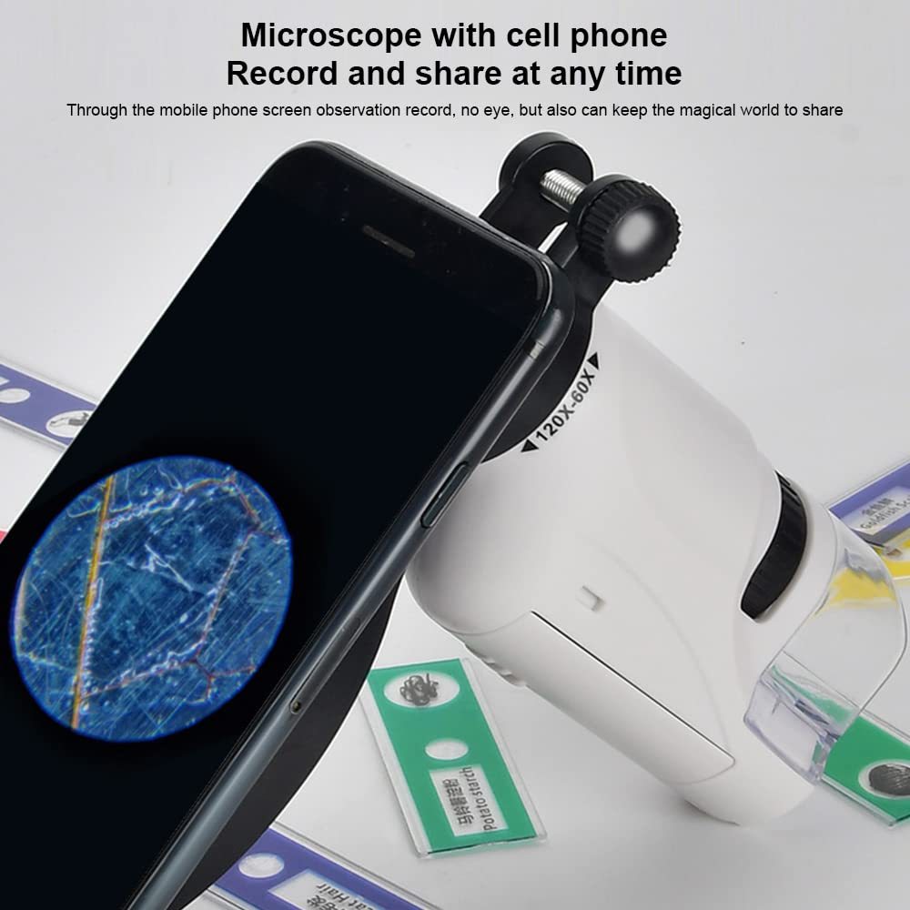 🔬 Mini Dječji Džepni Mikroskop s LED Svjetlom i Zumiranjem 60X–120X
