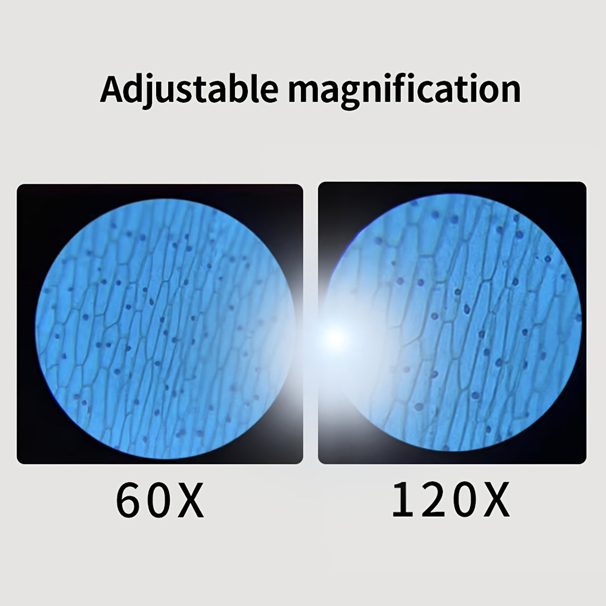 🔬 Mini Dječji Džepni Mikroskop s LED Svjetlom i Zumiranjem 60X–120X